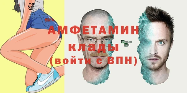 сатива Абаза